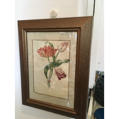Fotolijstje met tulpafbeelding Fotolijstje met tulpafbeelding