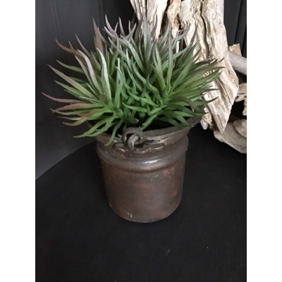Oud emmertje met plantje Oud emmertje met plantje