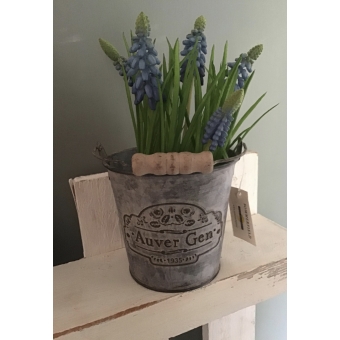 emmertje blauw druifje 