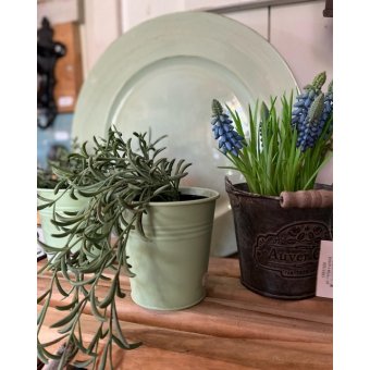 Metalen potje met plantje